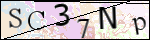 Human Confirmation Code (Captcha)