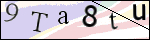 Human Confirmation Code (Captcha)