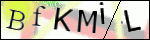 Human Confirmation Code (Captcha)