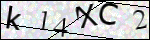 Human Confirmation Code (Captcha)