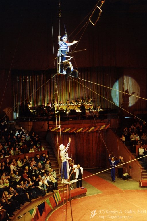 Rope-Walker Bear: at the top! /  / 2004-04-18 F6#24 Circus.jpg