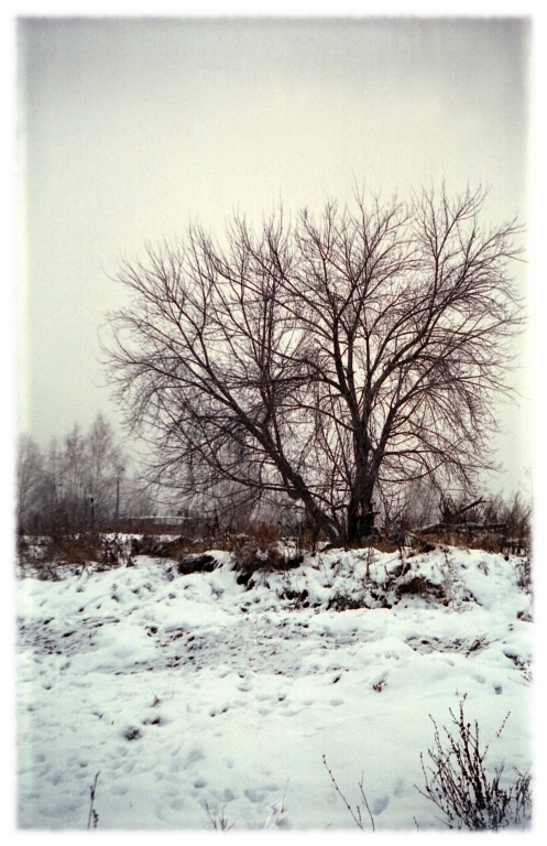 Фото на Смена-6